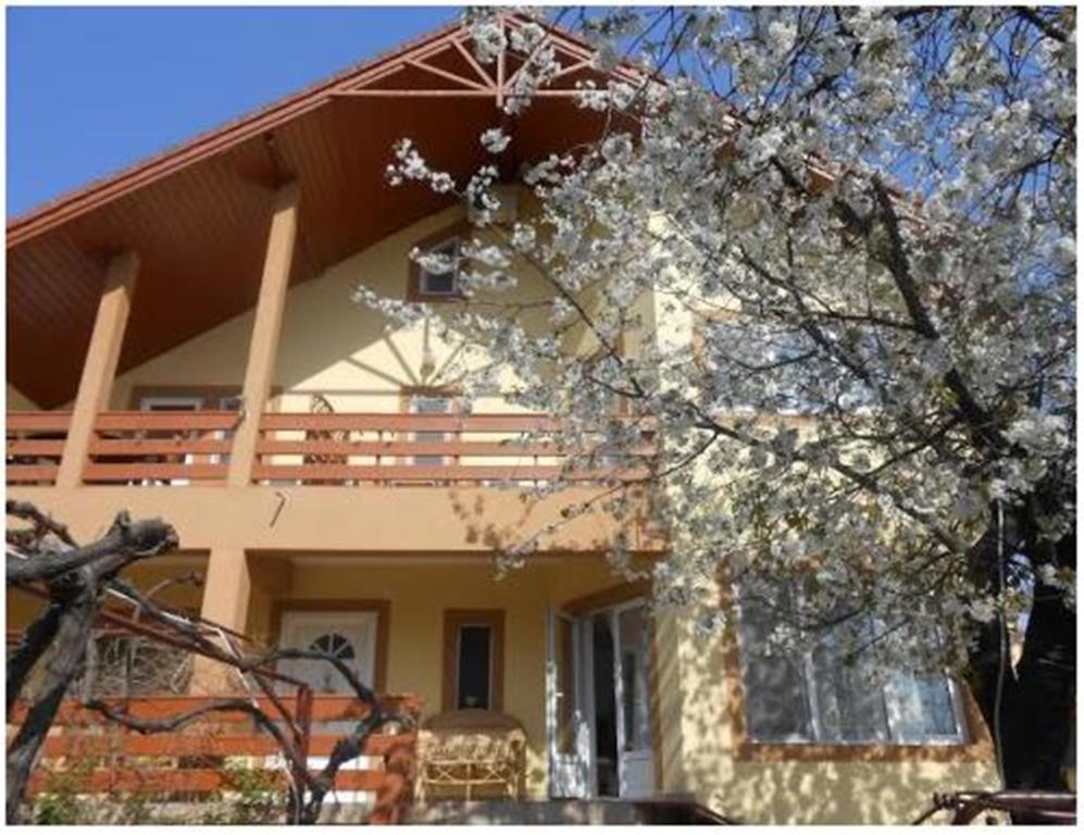 Pensiunea Pentru Tine Prietene Arcani Room photo
