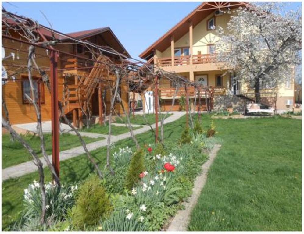 Pensiunea Pentru Tine Prietene Arcani Room photo